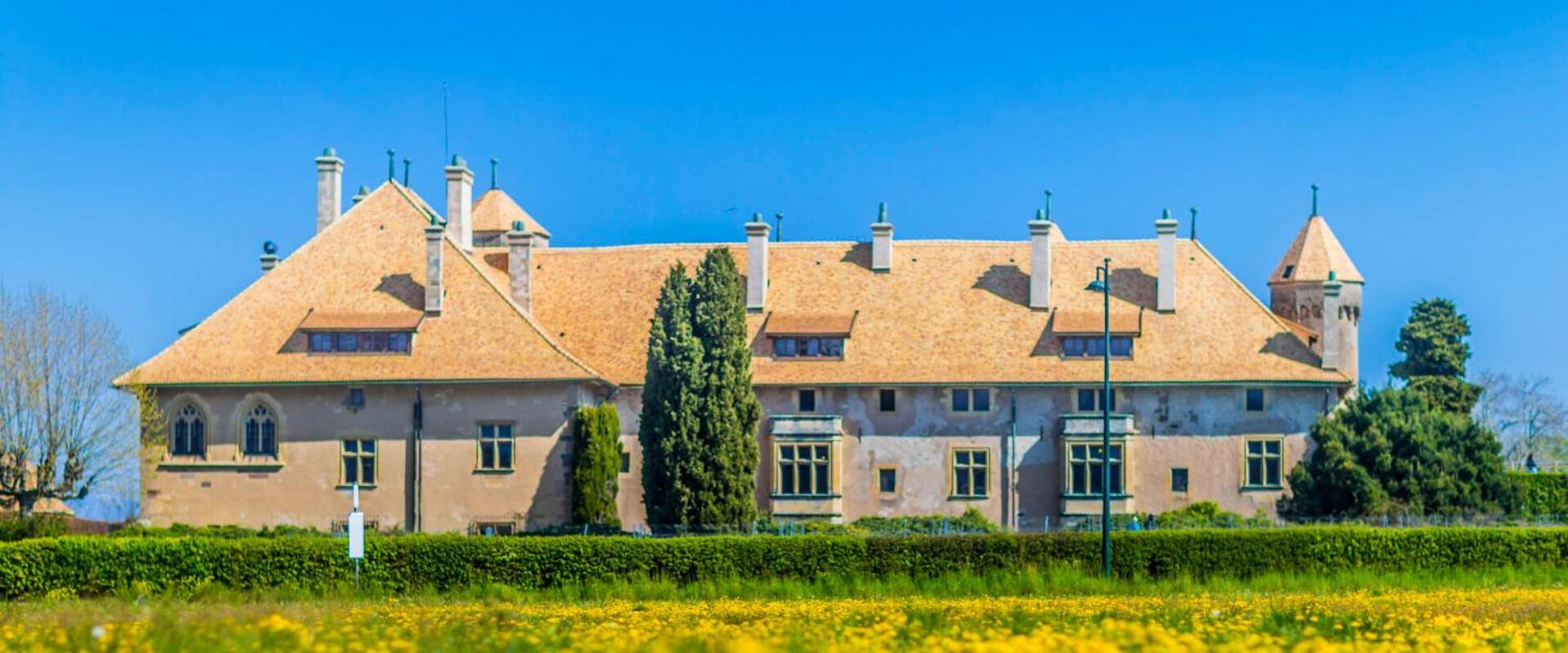Logis Hotel Arc En Ciel Thonon-les-Bains Eksteriør billede